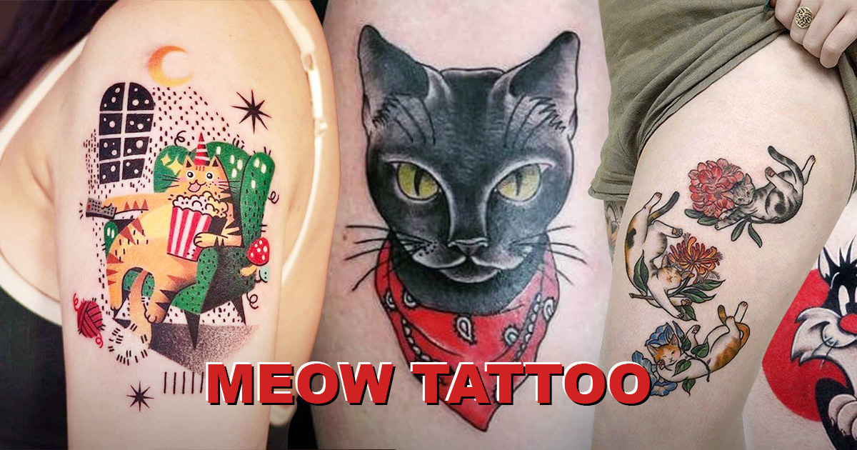 5 WAYS TO PICK YOUR MEOW